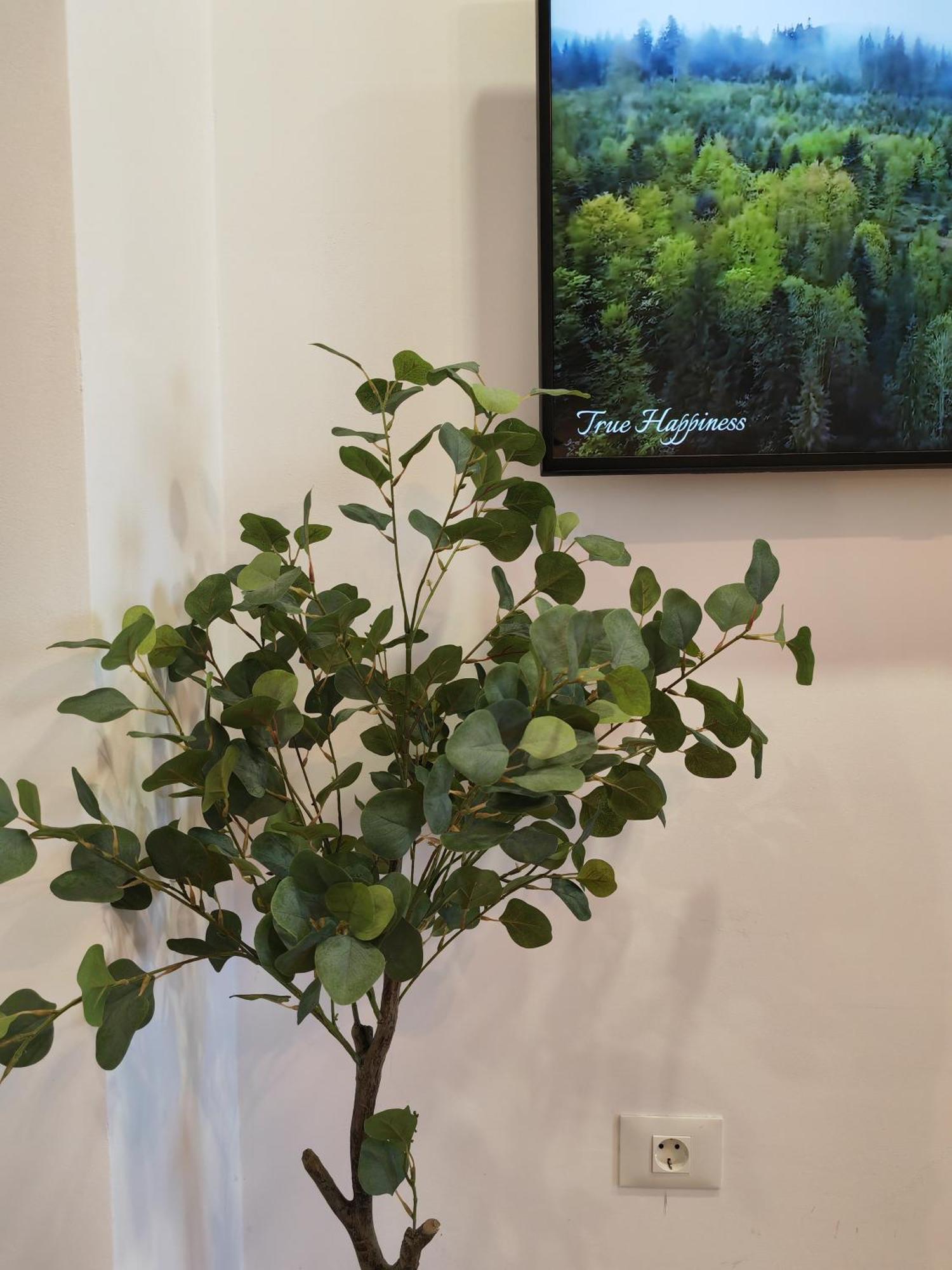 Sunset Bucharest Rebreanu Apartment Екстериор снимка